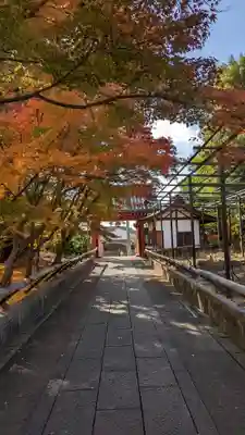 乙訓寺(京都府)