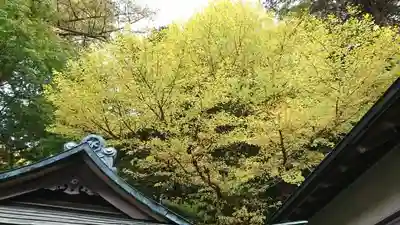 水使神社の自然