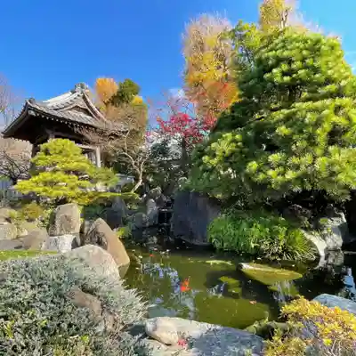 大蓮寺(千葉県)