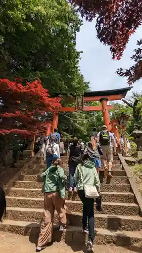 新倉富士浅間神社の鳥居