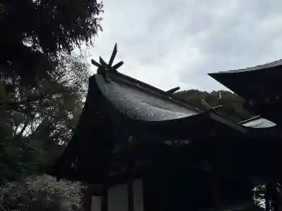 大己貴神社の{uncategorized: "未分類", other: "その他", undefined: "問題あり", building: "その他建物", grave: "お墓", sacred_gate: "鳥居", guardian: "狛犬", statue: "像", buddha: "仏像", history: "歴史", nature: "自然", garden: "庭園", animal: "動物", pagoda: "塔", temizu: "手水舎", mountain_gate: "山門・神門", sanctuary: "本殿・本堂", subordinate: "末社・摂社", art: "芸術", scenery: "景色", jizo: "地蔵", ema: "絵馬", goshuin: "御朱印", omikuji: "おみくじ", items: "授与品その他", amulet: "お守り", goshuincho: "御朱印帳", eats: "食事", festival: "お祭り", votive_dance: "神楽", shichigosan: "七五三参", wedding: "結婚式", experience: "体験その他", initially: "初詣", around: "周辺", anti_infection: "感染症対策"}