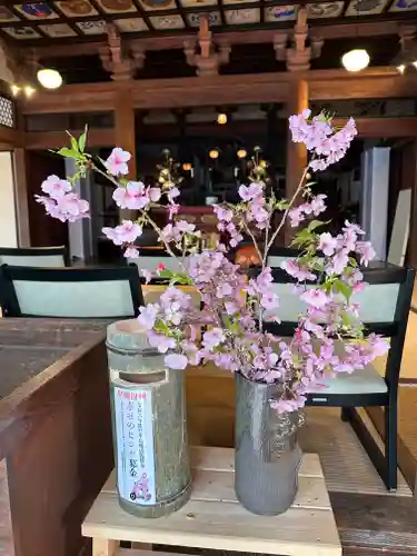 かっぱの寺 栖足寺(静岡県)