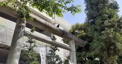 くまくま神社(導きの社 熊野町熊野神社)の鳥居