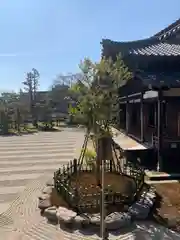 仁和寺の庭園