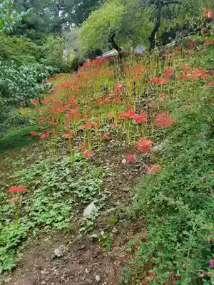 不動寺(埼玉県)