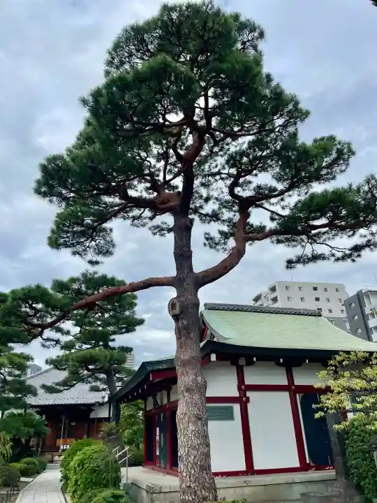 善明寺(東京都)