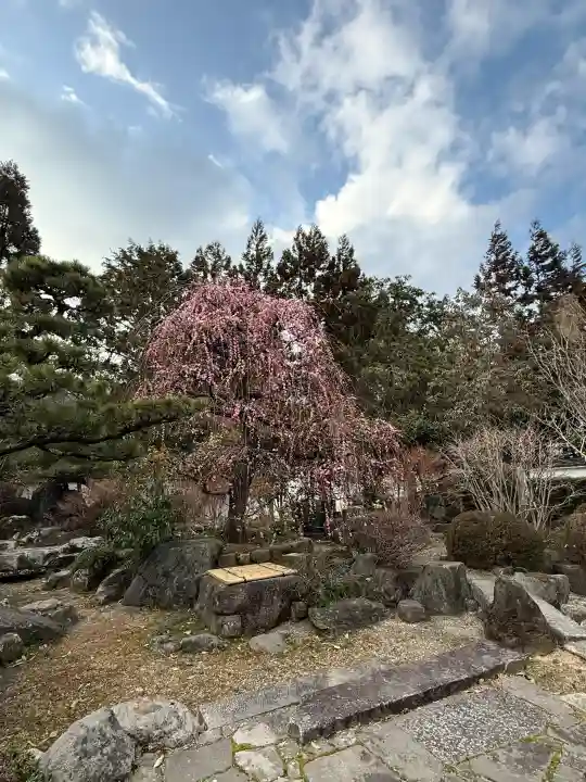 石光寺の{uncategorized: "未分類", other: "その他", undefined: "問題あり", building: "その他建物", grave: "お墓", sacred_gate: "鳥居", guardian: "狛犬", statue: "像", buddha: "仏像", history: "歴史", nature: "自然", garden: "庭園", animal: "動物", pagoda: "塔", temizu: "手水舎", mountain_gate: "山門・神門", sanctuary: "本殿・本堂", subordinate: "末社・摂社", art: "芸術", scenery: "景色", jizo: "地蔵", ema: "絵馬", goshuin: "御朱印", omikuji: "おみくじ", items: "授与品その他", amulet: "お守り", goshuincho: "御朱印帳", eats: "食事", festival: "お祭り", votive_dance: "神楽", shichigosan: "七五三参", wedding: "結婚式", experience: "体験その他", initially: "初詣", around: "周辺", anti_infection: "感染症対策"}