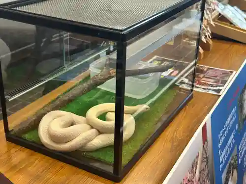 赤城神社(群馬県)