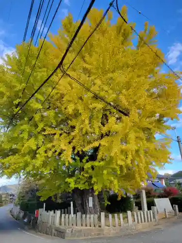 鴨神社(兵庫県)
