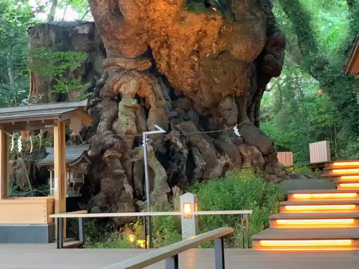 來宮神社(静岡県)