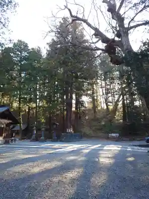 諏訪大社下社春宮(長野県)