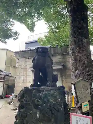 三島神社の狛犬