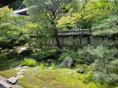 禅林寺（永観堂）(京都府)