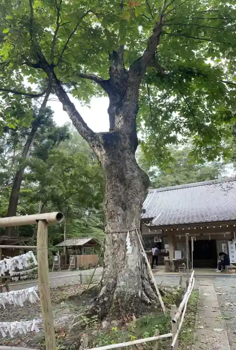 小御門神社(千葉県)