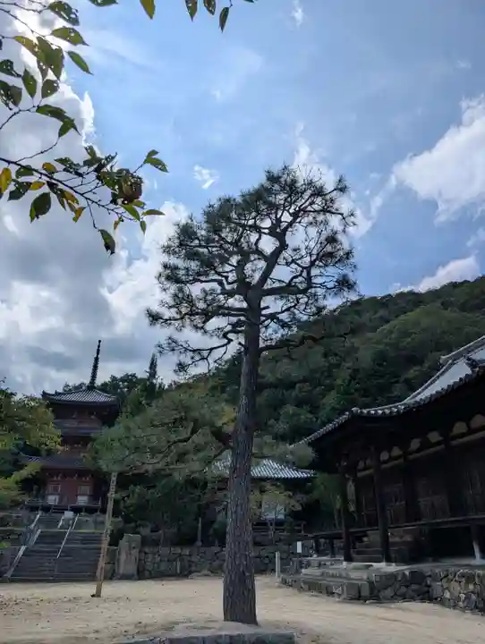 真光寺自性院(岡山県)