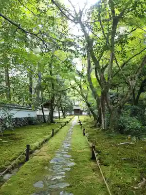 西芳寺(京都府)