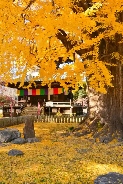 鑁阿寺(栃木県)
