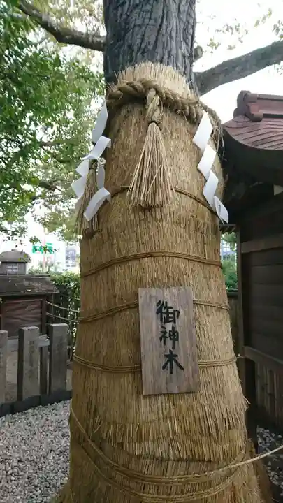 堀越神社の自然