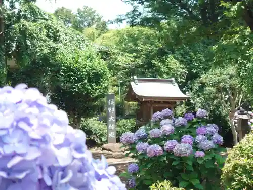 時宗総本山 遊行寺（正式：清浄光寺）(神奈川県)