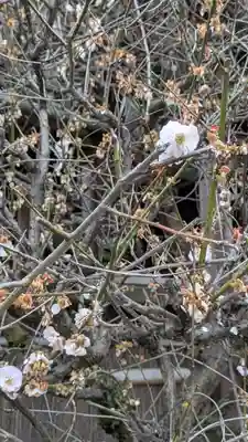 後白河院御聖蹟　法住寺(京都府)