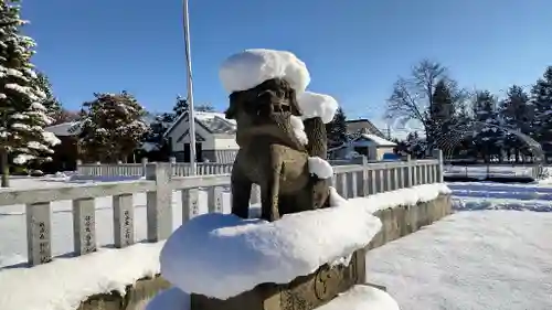 美瑛神社の狛犬