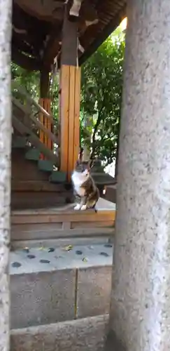 小野照崎神社の動物