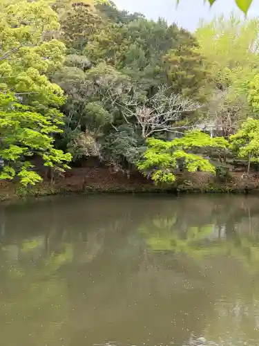 安房神社(千葉県)