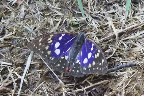 国宝 大法寺(長野県)
