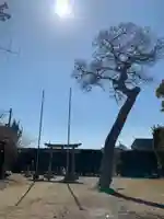 八幡神社(千葉県)