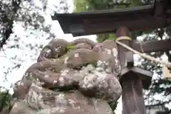 金鑚神社の狛犬