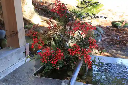 高司神社〜むすびの神の鎮まる社〜の手水