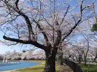 伊部波島大神(新潟県)