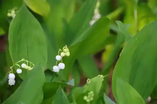阿邪訶根神社の自然