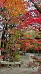 鍬山神社(京都府)