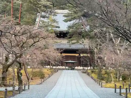 南禅寺の本殿・本堂