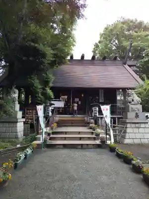 高円寺氷川神社の本殿・本堂