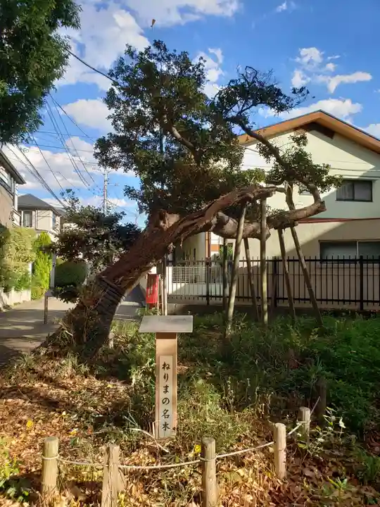 愛宕神社の自然