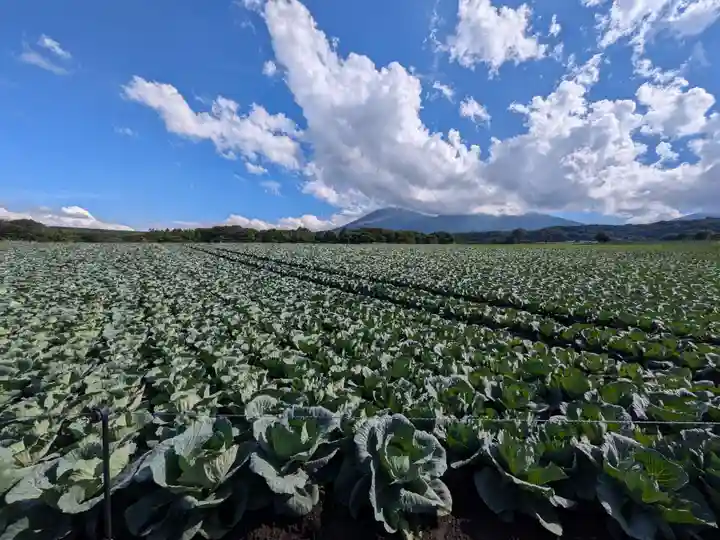 寛永寺別院浅間山観音堂の自然