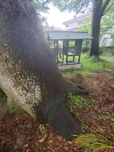 愛宕神社(茨城県)