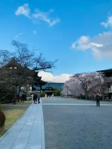 久遠寺の{uncategorized: "未分類", other: "その他", undefined: "問題あり", building: "その他建物", grave: "お墓", sacred_gate: "鳥居", guardian: "狛犬", statue: "像", buddha: "仏像", history: "歴史", nature: "自然", garden: "庭園", animal: "動物", pagoda: "塔", temizu: "手水舎", mountain_gate: "山門・神門", sanctuary: "本殿・本堂", subordinate: "末社・摂社", art: "芸術", scenery: "景色", jizo: "地蔵", ema: "絵馬", goshuin: "御朱印", omikuji: "おみくじ", items: "授与品その他", amulet: "お守り", goshuincho: "御朱印帳", eats: "食事", festival: "お祭り", votive_dance: "神楽", shichigosan: "七五三参", wedding: "結婚式", experience: "体験その他", initially: "初詣", around: "周辺", anti_infection: "感染症対策"}