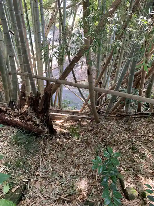 中山神社の自然