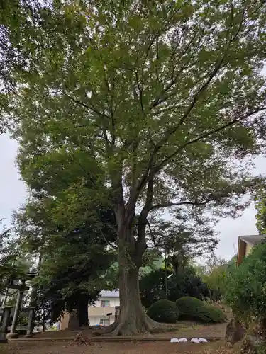 飯守神社(東京都)
