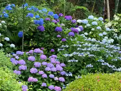 谷ヶ堂最福寺(延朗堂)の自然