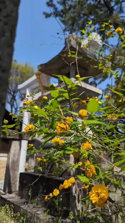 縣神社(京都府)