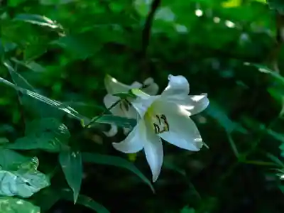 白山比咩神社　奥宮(石川県)