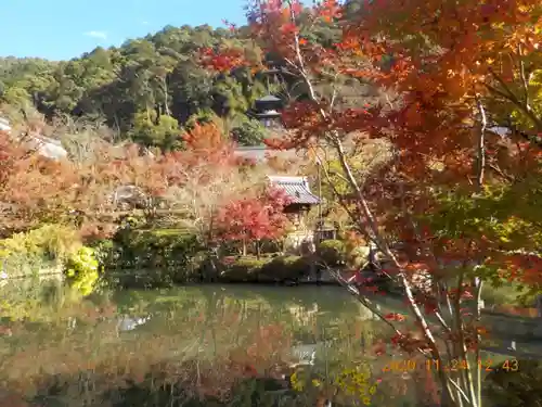 禅林寺（永観堂）の庭園