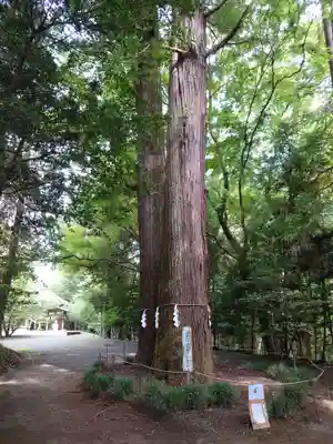 石楯尾神社(神奈川県)