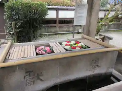 上野東照宮の手水舎