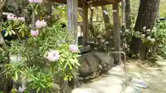 徳善院明王密寺の手水