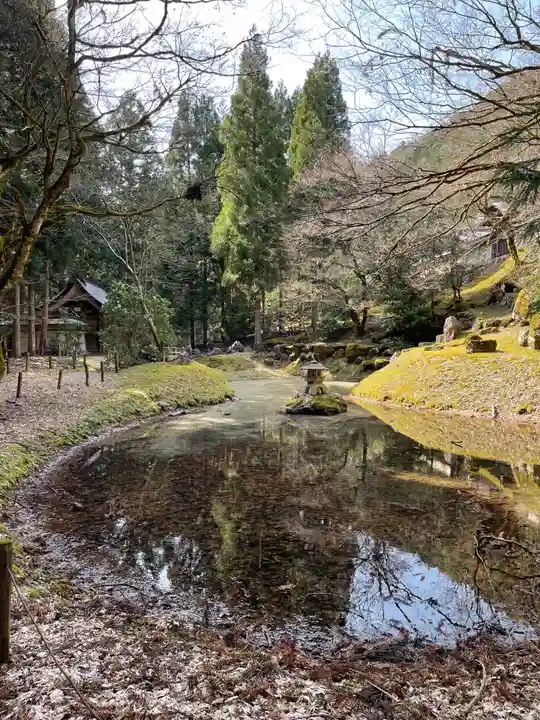 常照皇寺の庭園